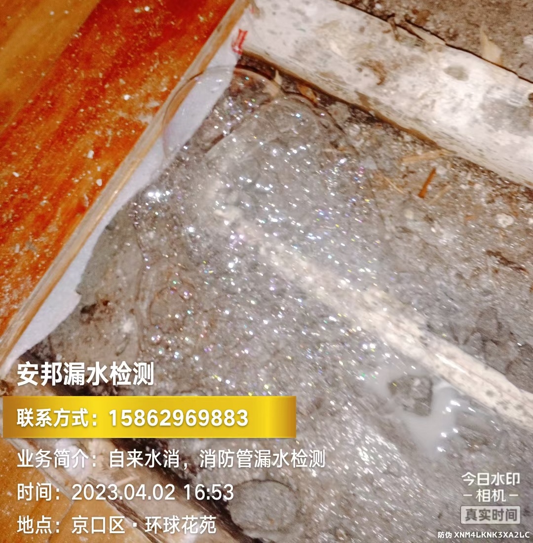 2023-04-02鎮(zhèn)江京口區(qū)環(huán)球花園_看圖王.jpg
